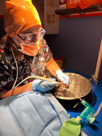 chirurgia-sala-operatoria